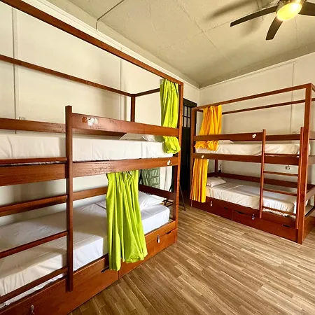 Hostel Algarve Dystrykt Faro